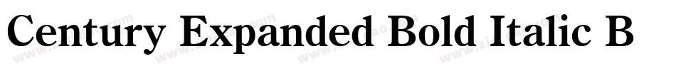 Century Expanded Bold Italic BT字体转换
